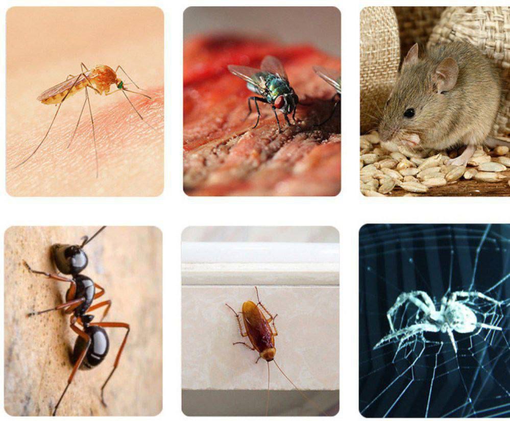 CONTROL DE PLAGAS REPELENTE DE MOSQUITOS