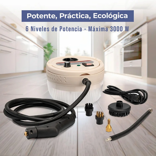 MAQUINA DE VAPOR PORTATIL 3000W